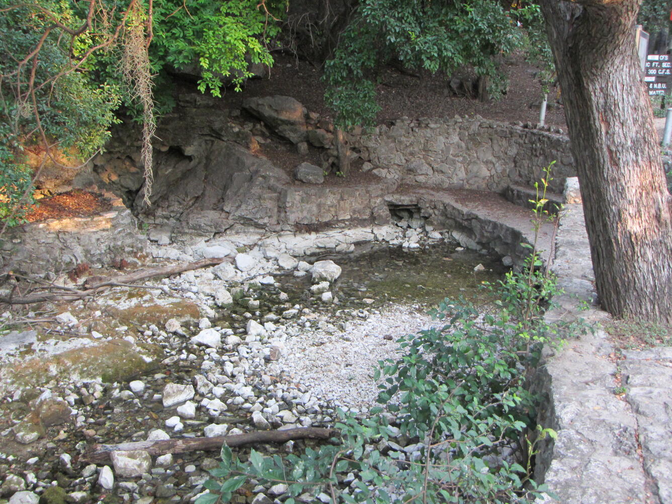 Comal Springs (dry)