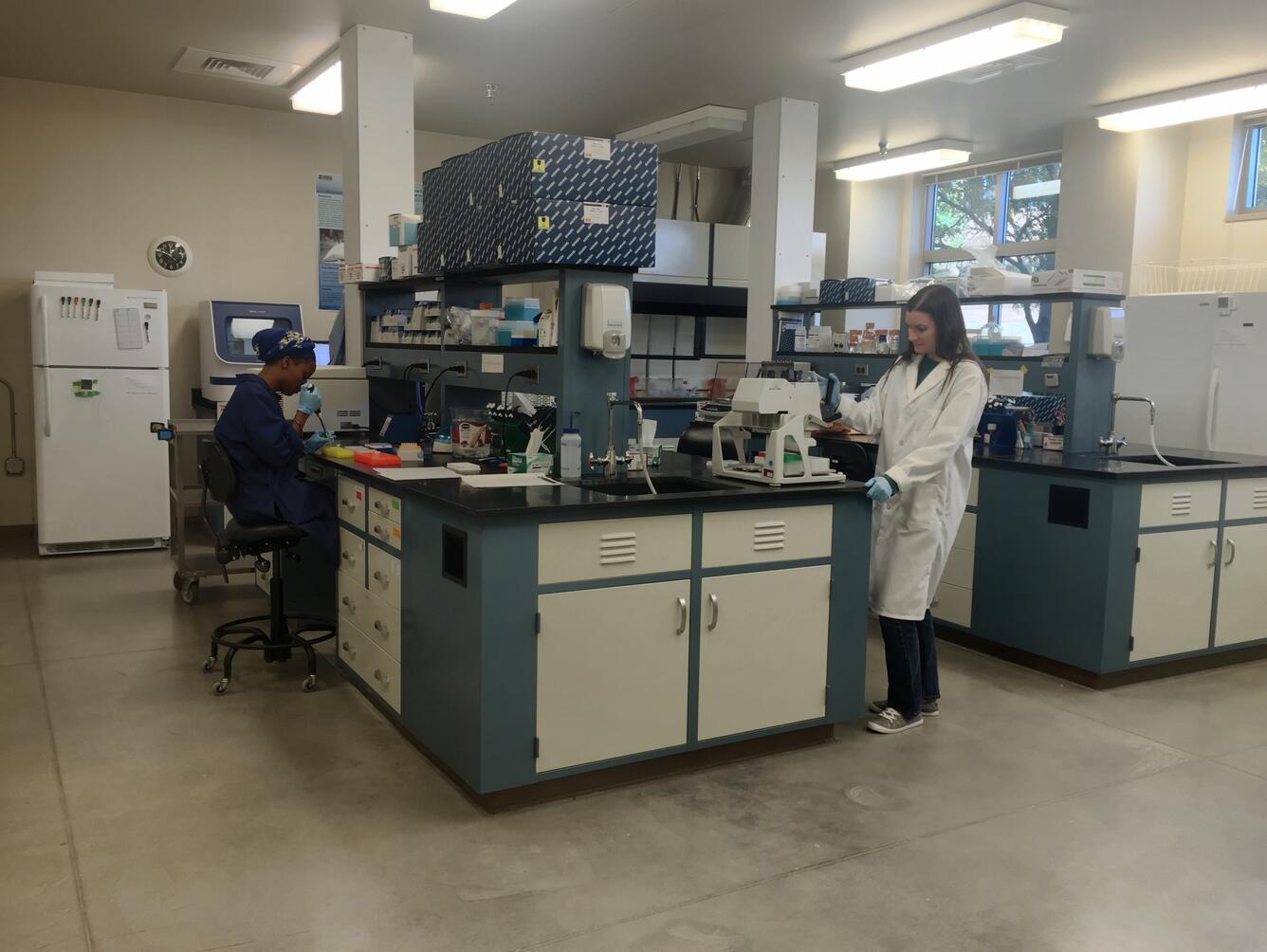 Science technicians work in the Molecular Ecology Lab at the Fort Collins Science Center