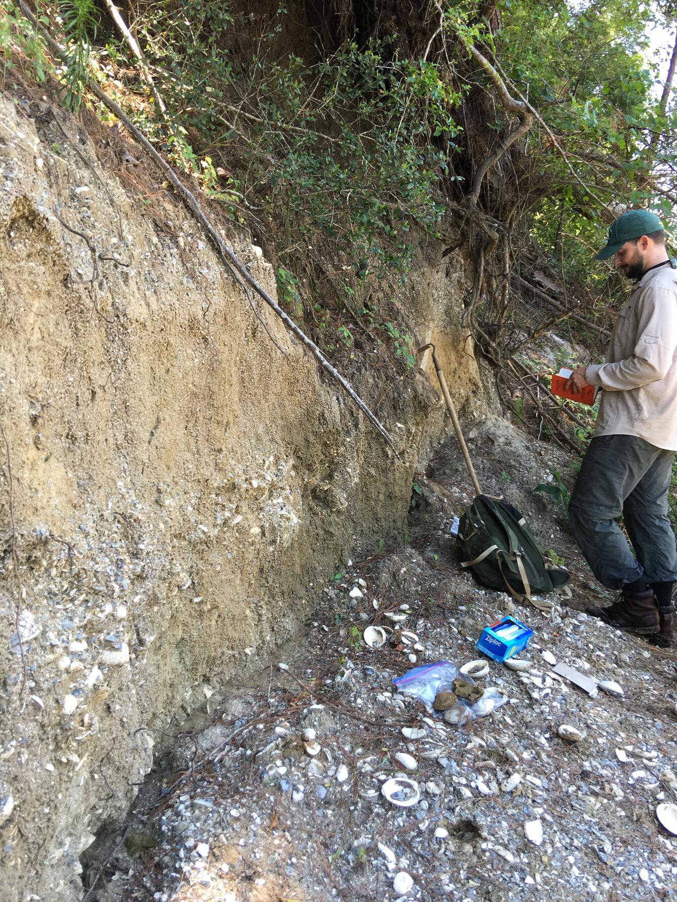 Sampling MIS 5e deposit