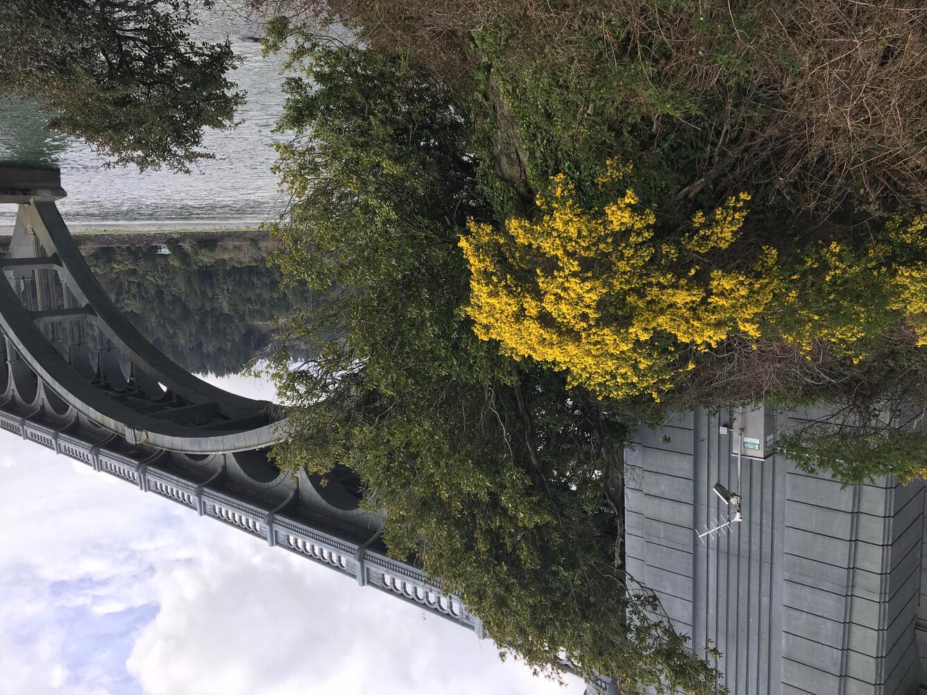 Station: 14378430 Rogue River at Highway 101 Bridge, at Wedderburn, OR