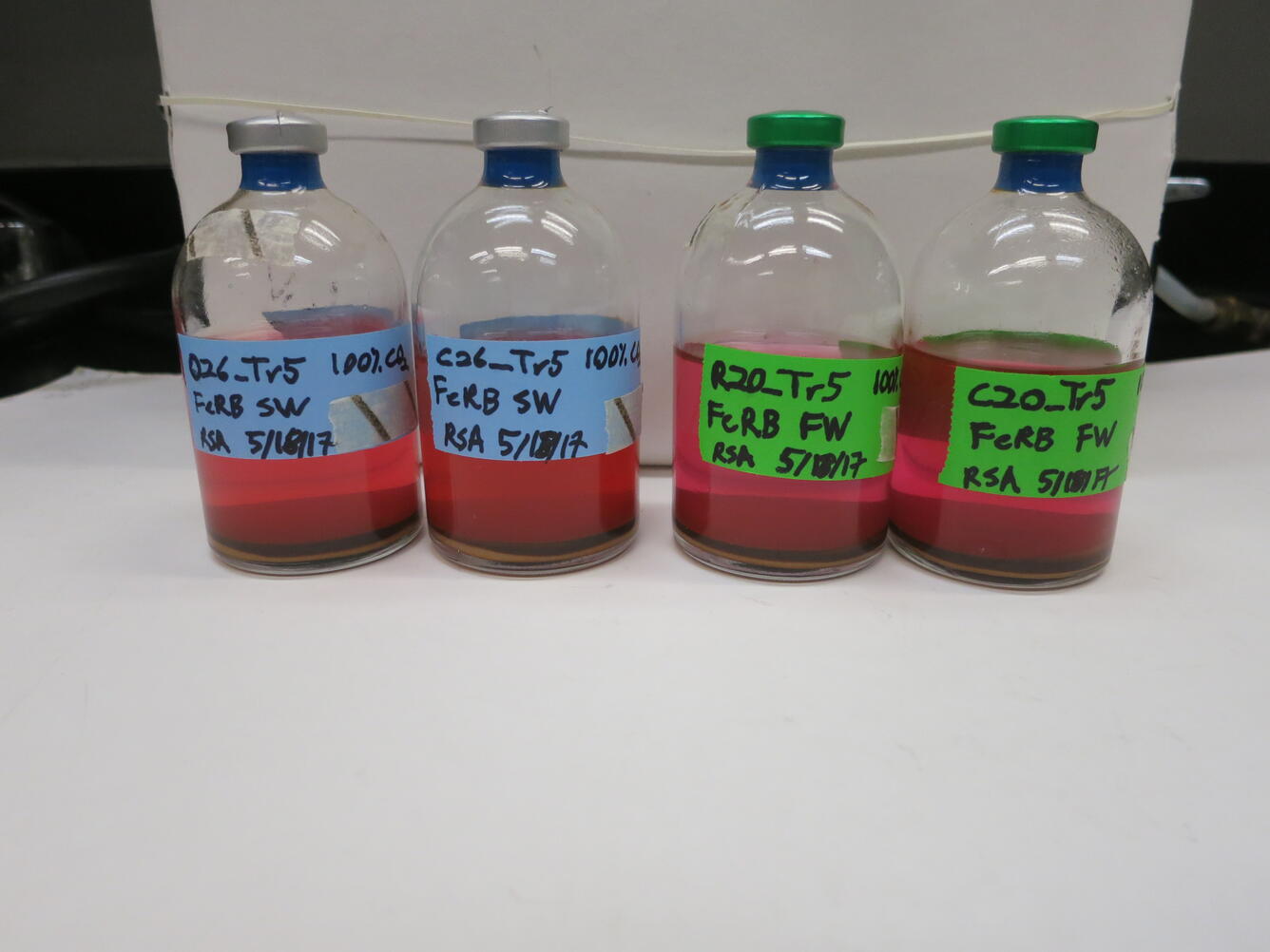 Anaerobic Microbial Cultures