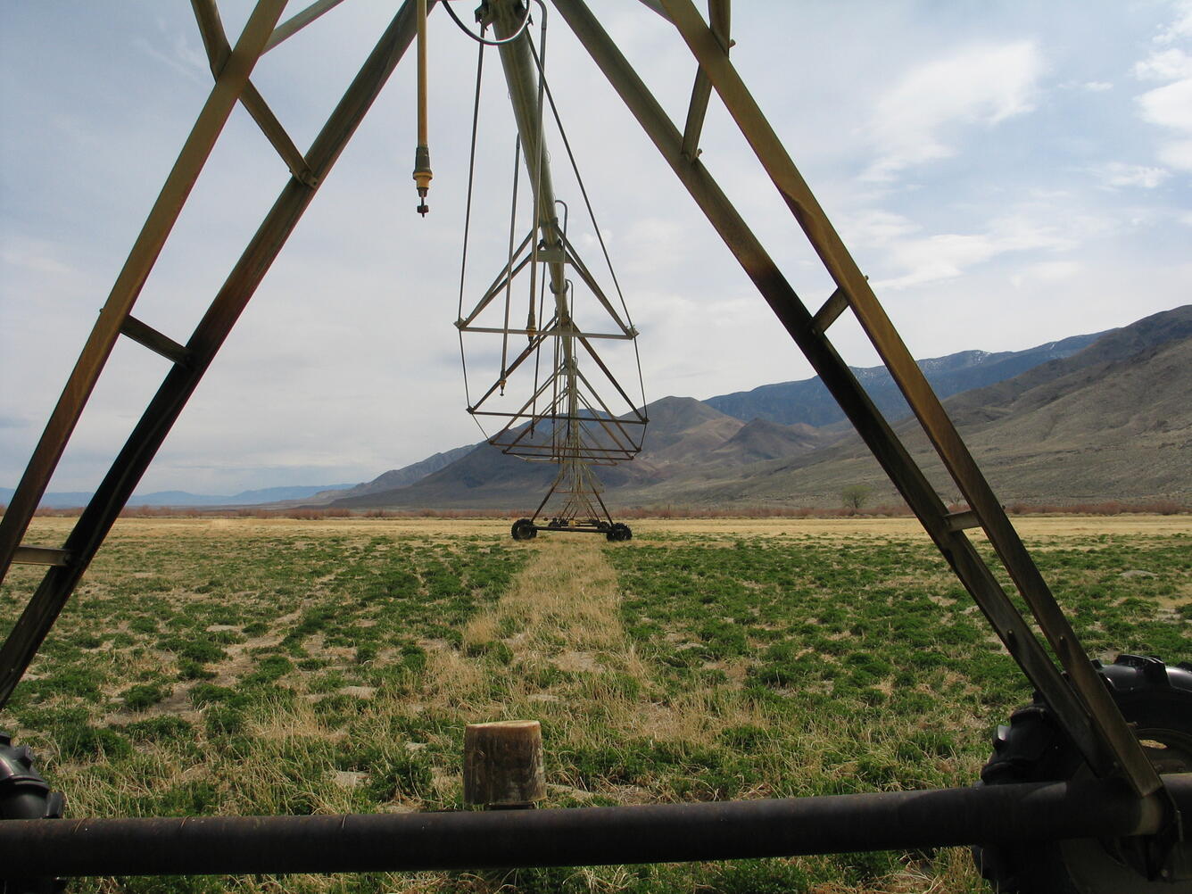 Center-pivot irrigation in the Walker River Basin, Nev.