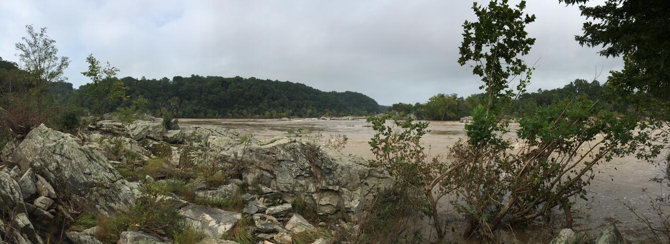 Picture of the Potomac River