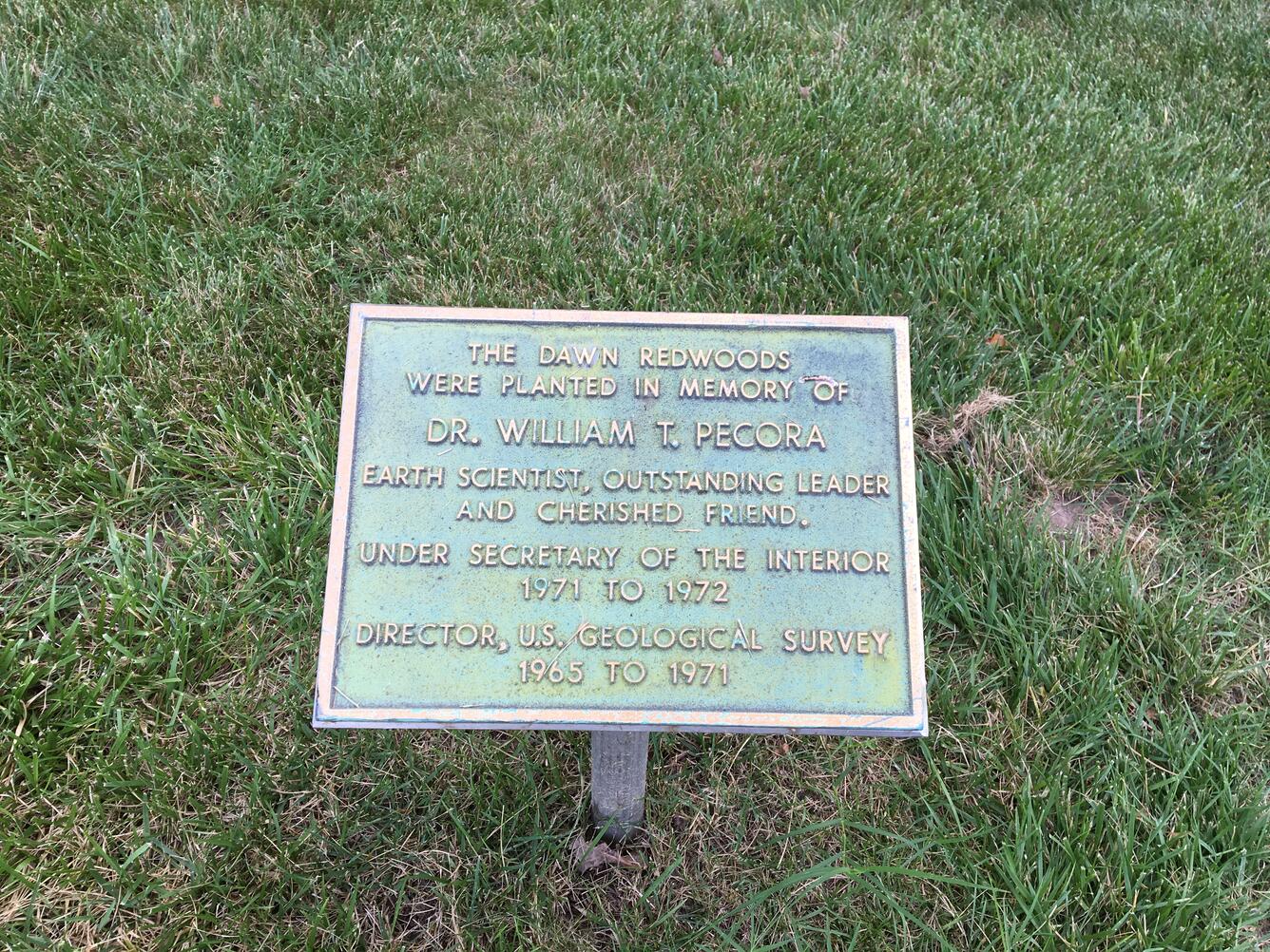 Image shows a bronze plaque