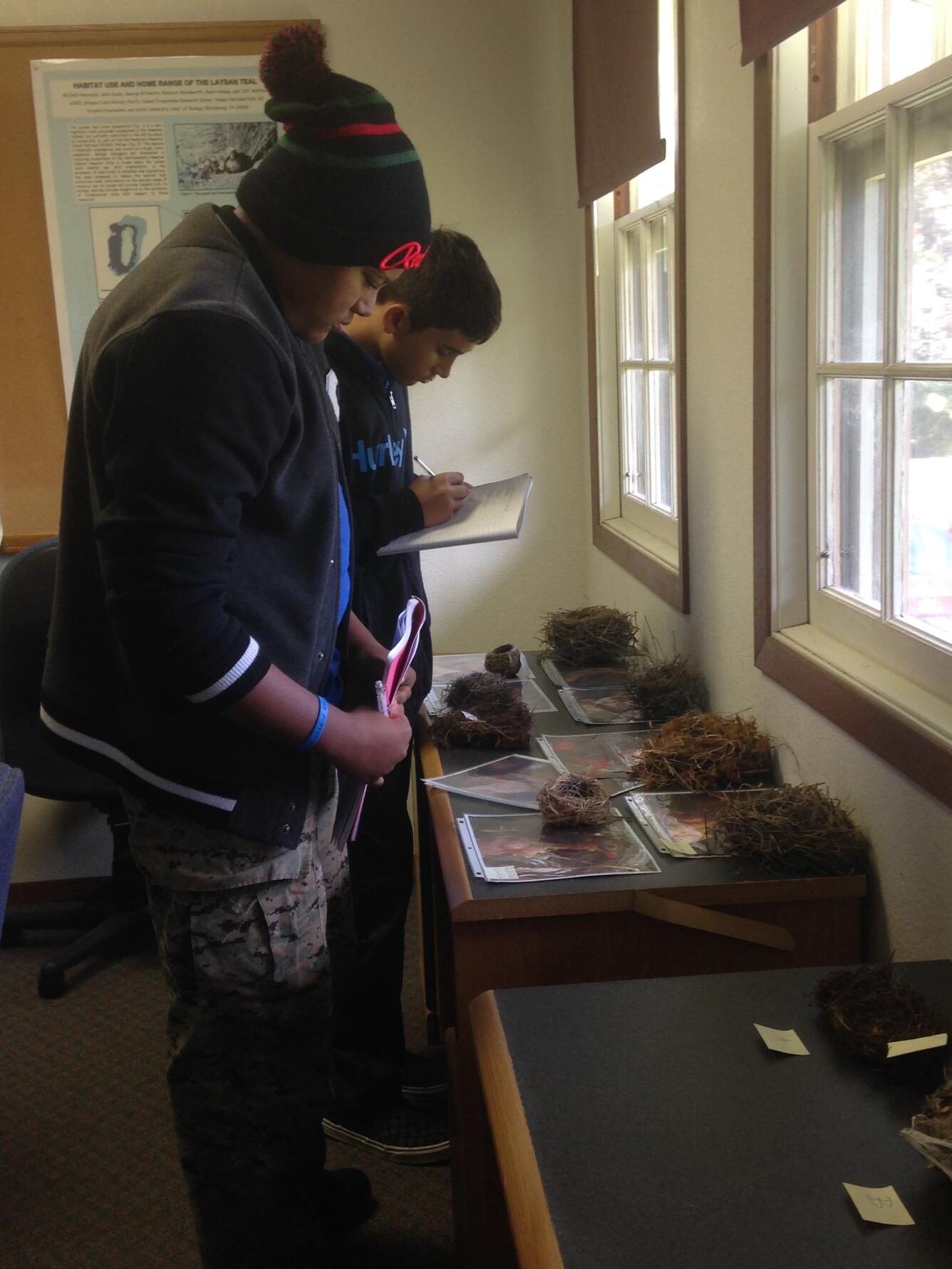 Students learn the characteristics of Hawaiian forest bird nests