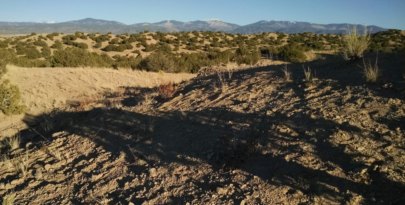 BH-4 Site, New Mexico Water Science Center