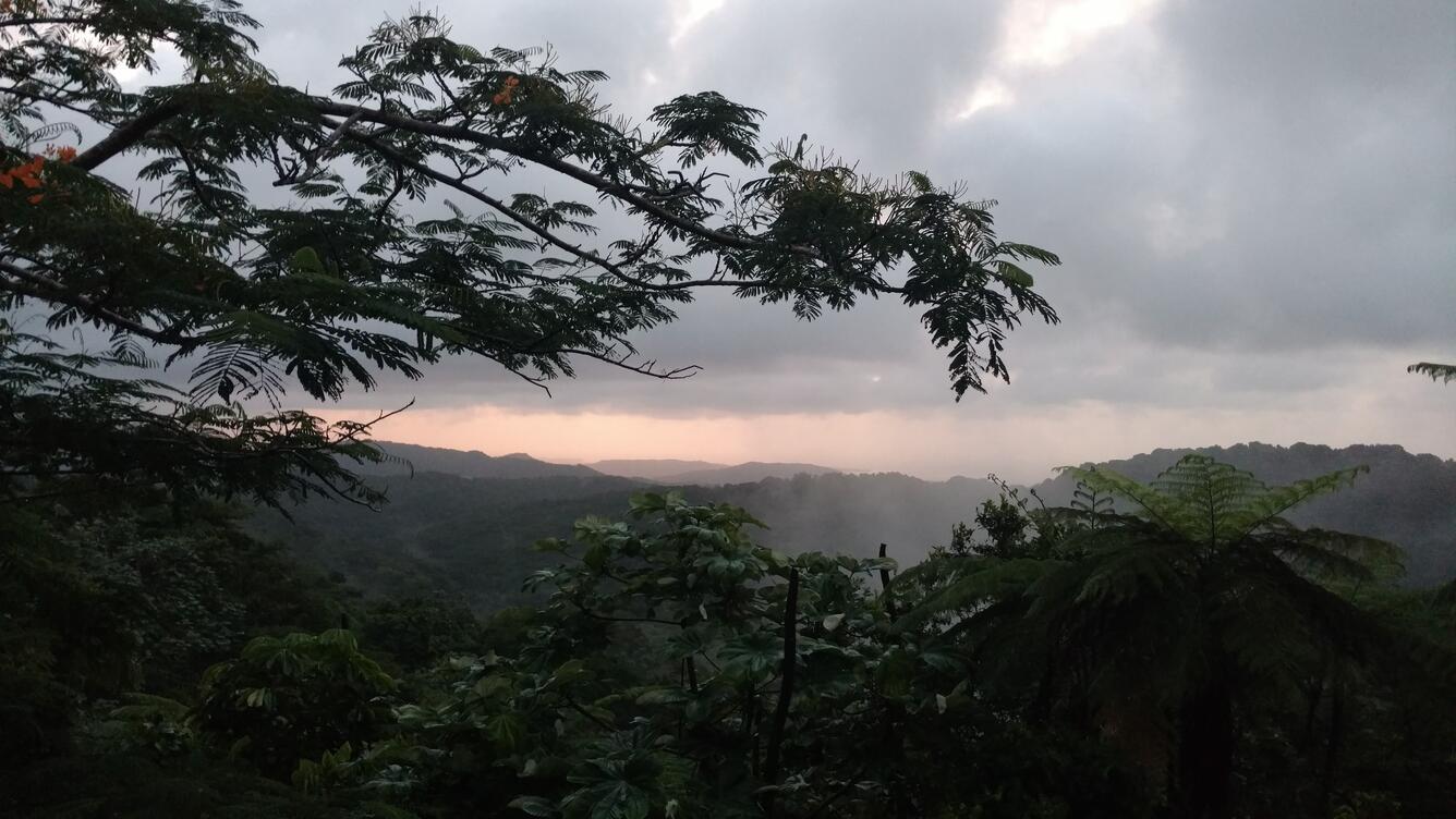El Yunque, Puerto Rico