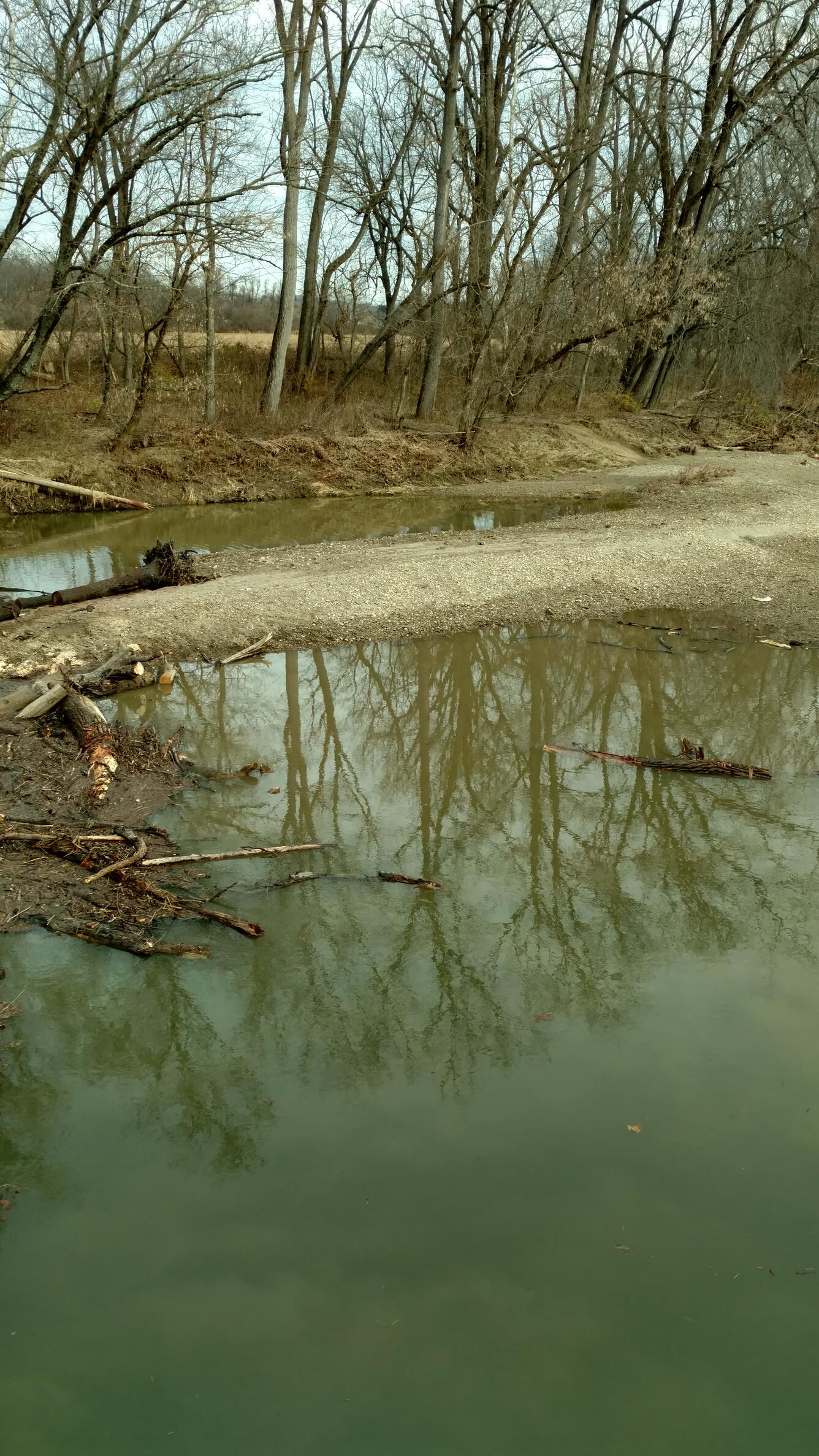  03146500 Licking River near Newark, log jam, safety