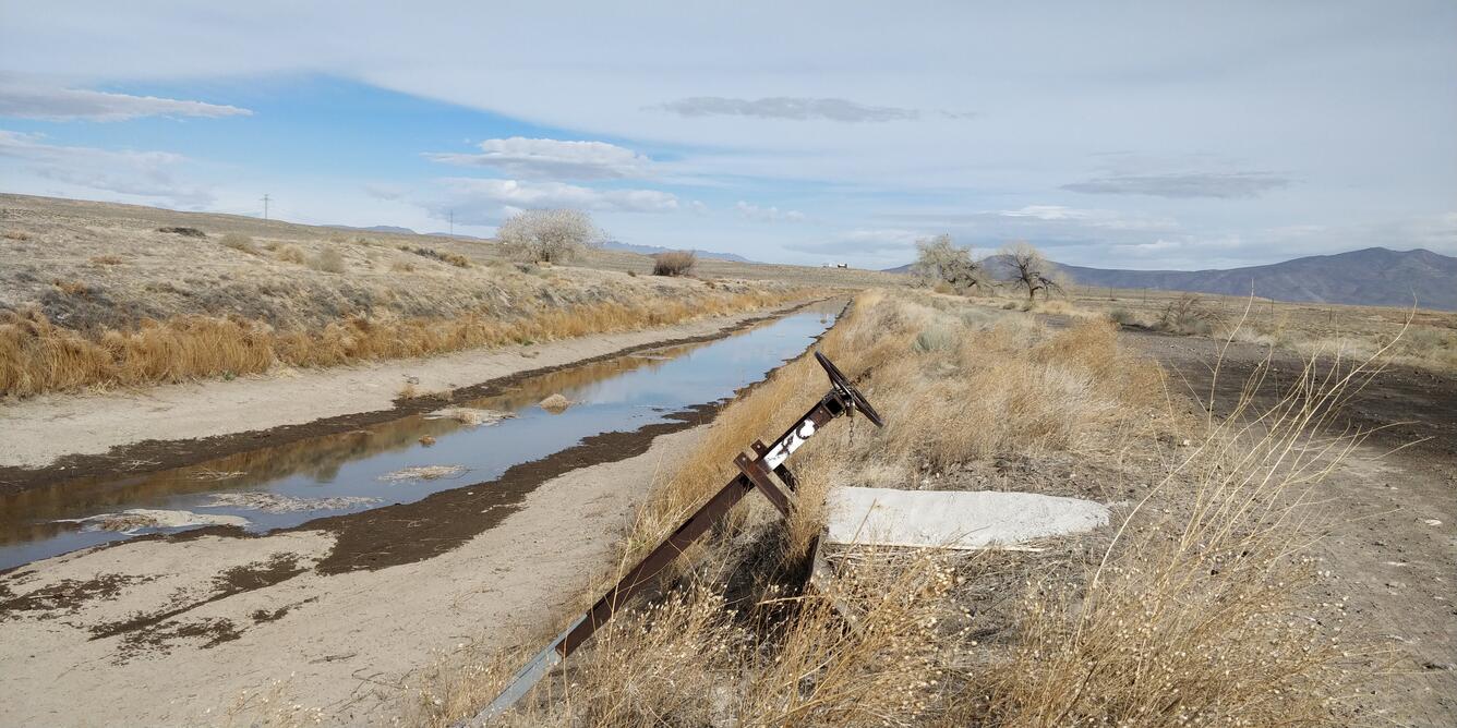 Truckee Canal, Nevada