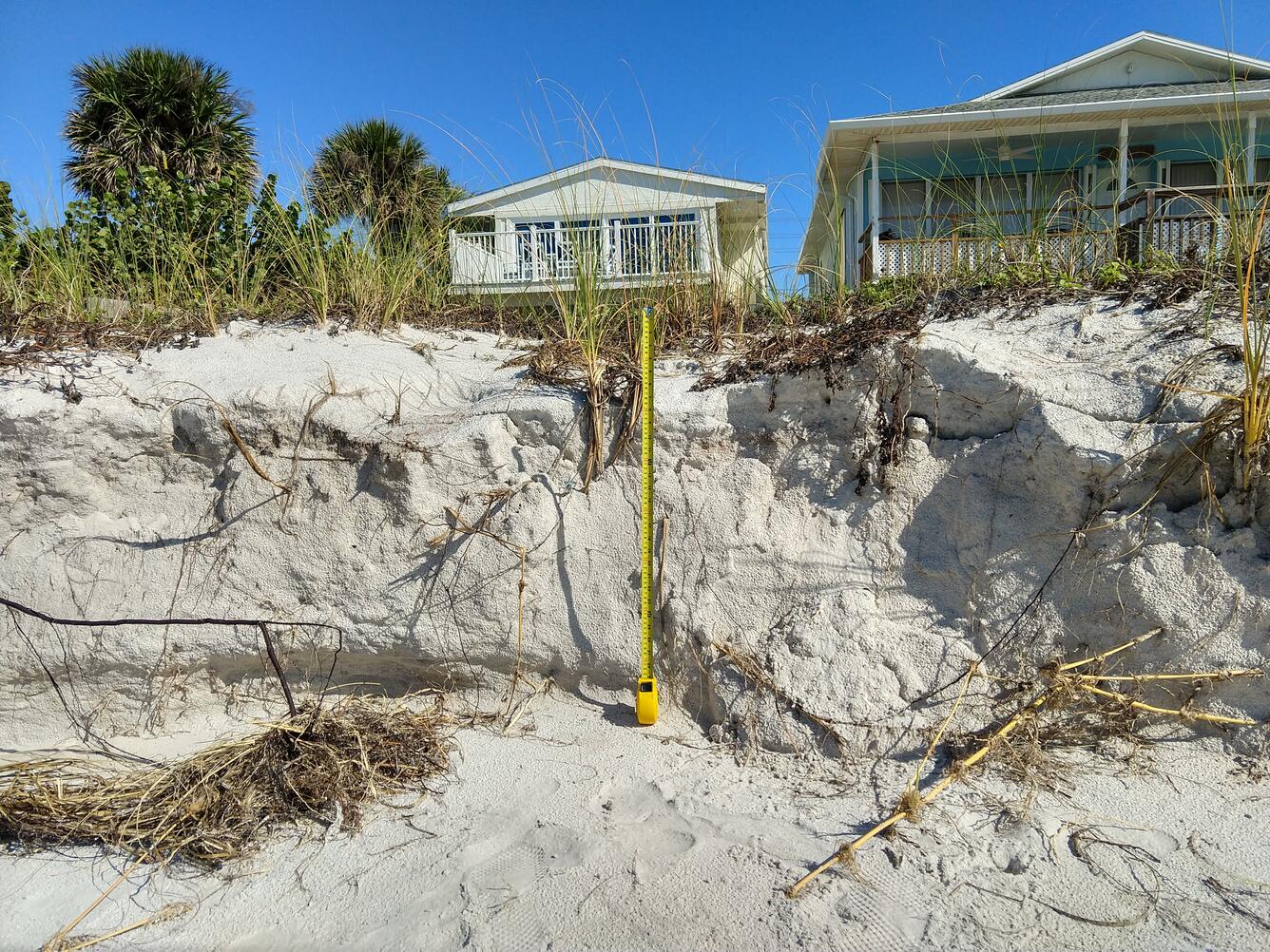 a dune that has been eroded several feet