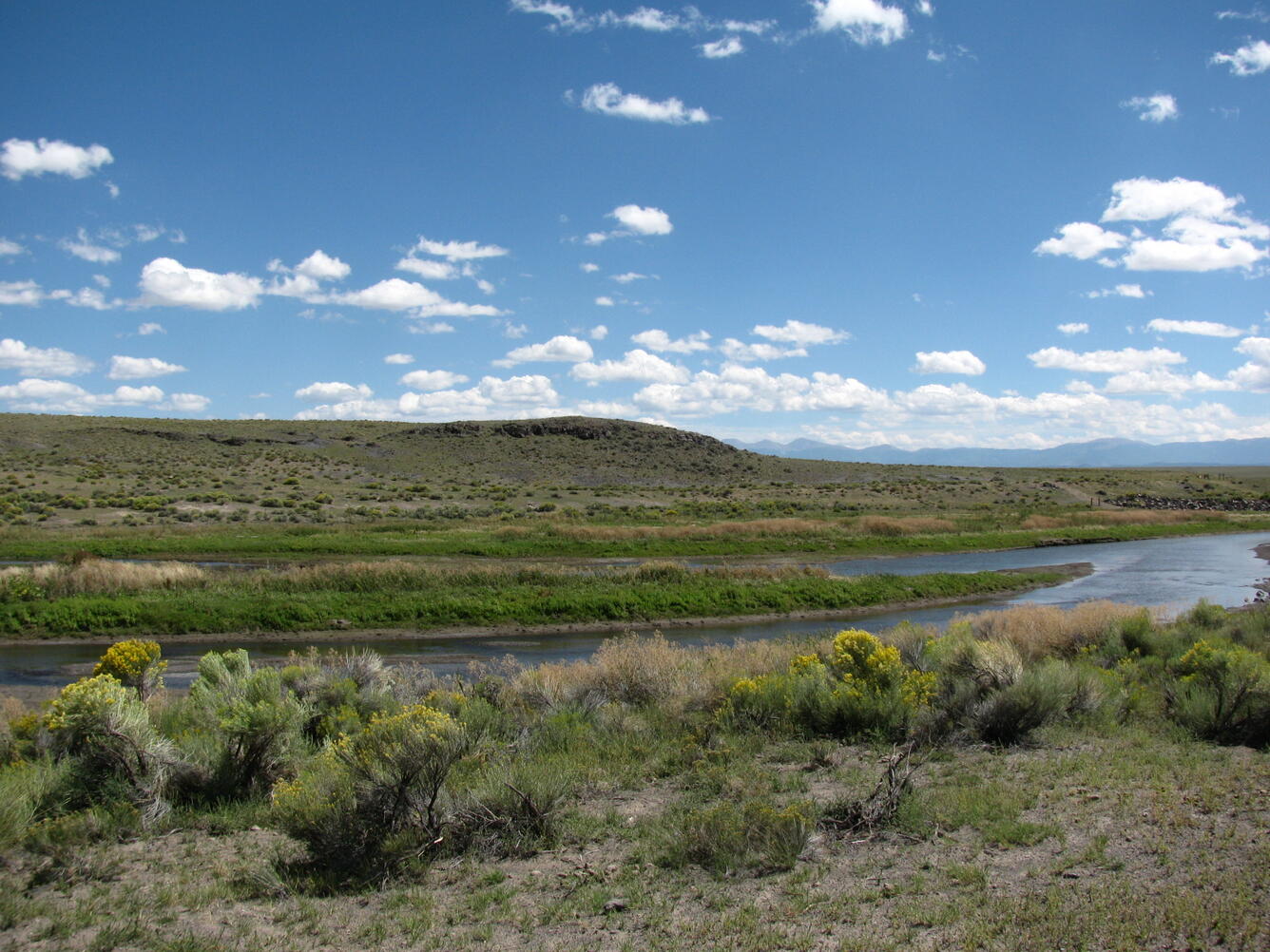 Upper Rio Grande