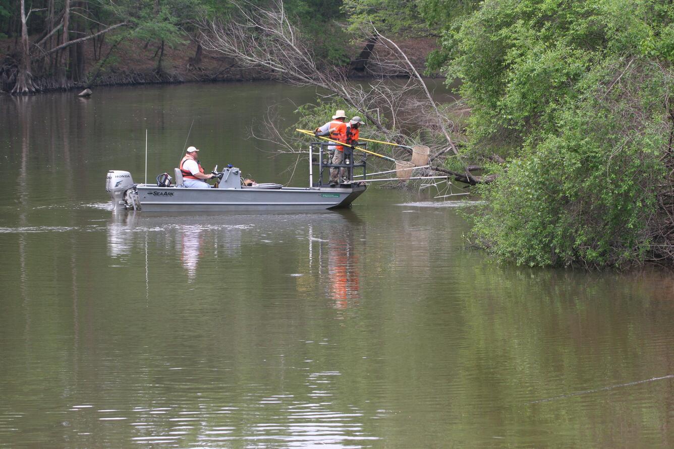 Big Cypress Creek, Texas