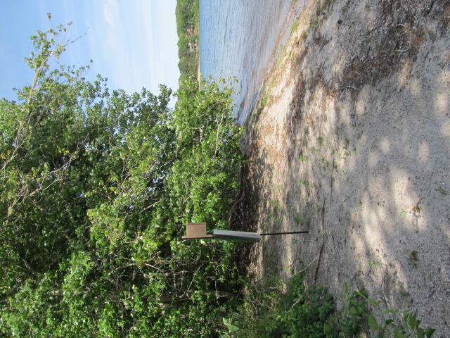Bird nest box at Ashumet Pond, Cape Cod, MA