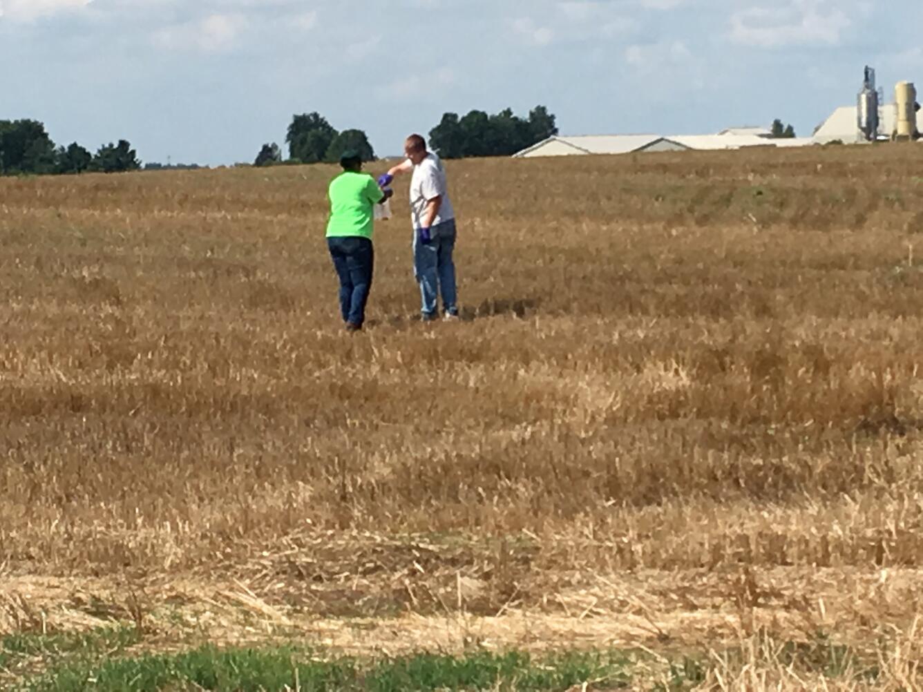Staff in field taking upland samples