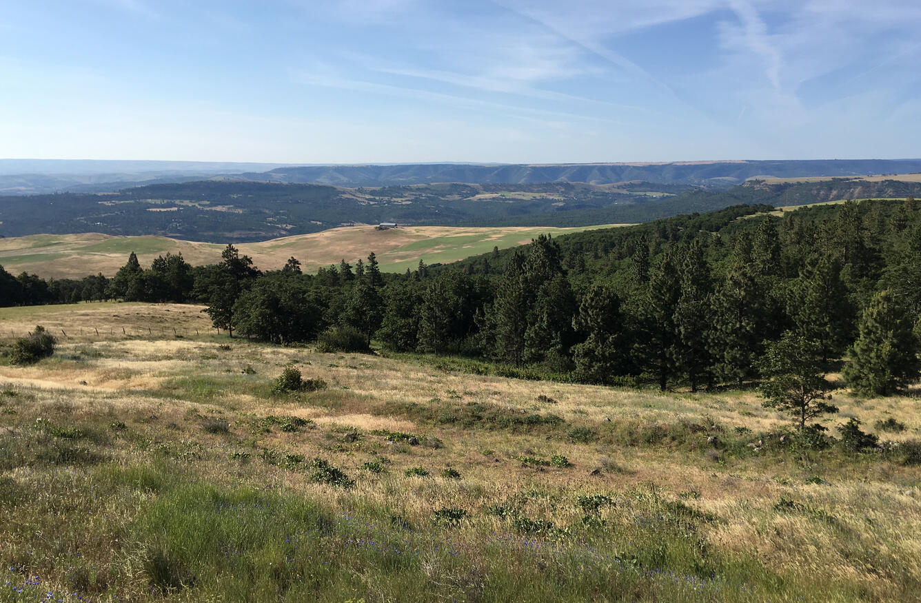 Columbia River Gorge