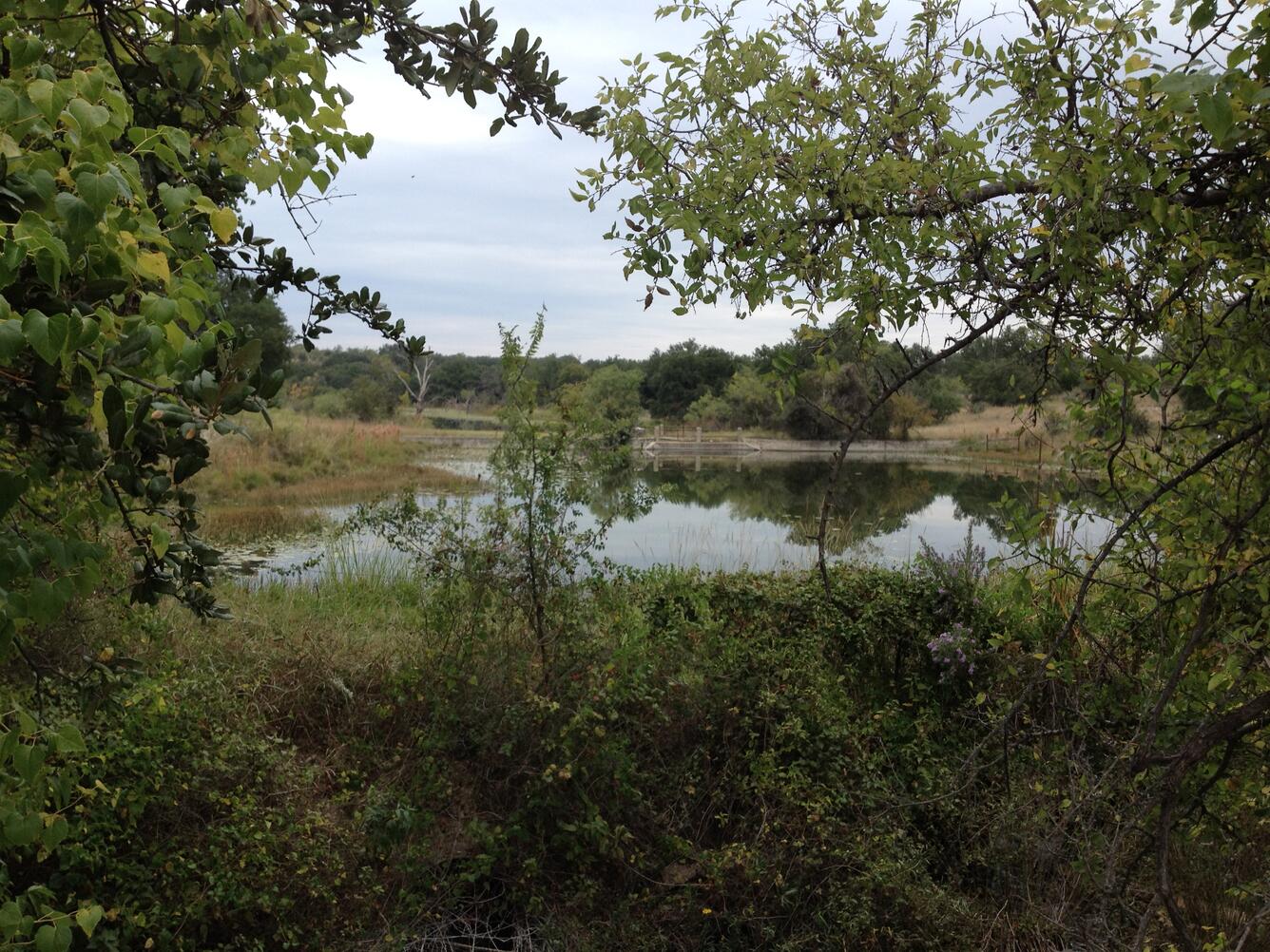 Clear Creek near Menard, TX
