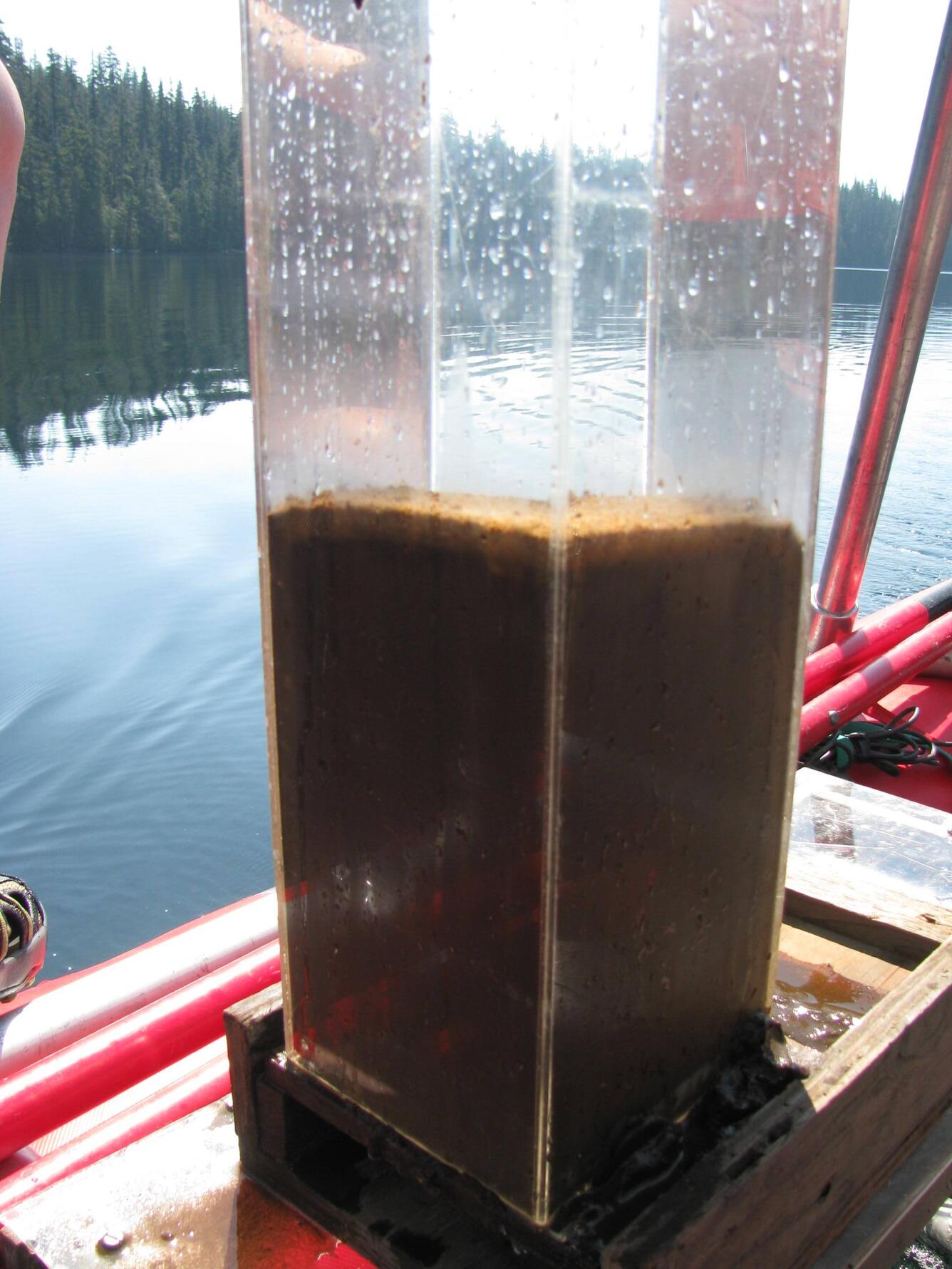 Lake sediment core 