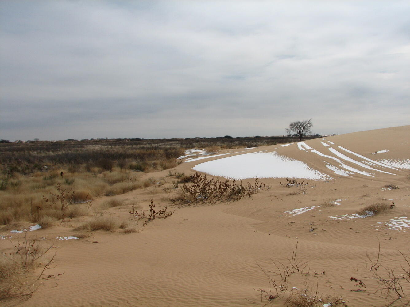 North Texas snowfall