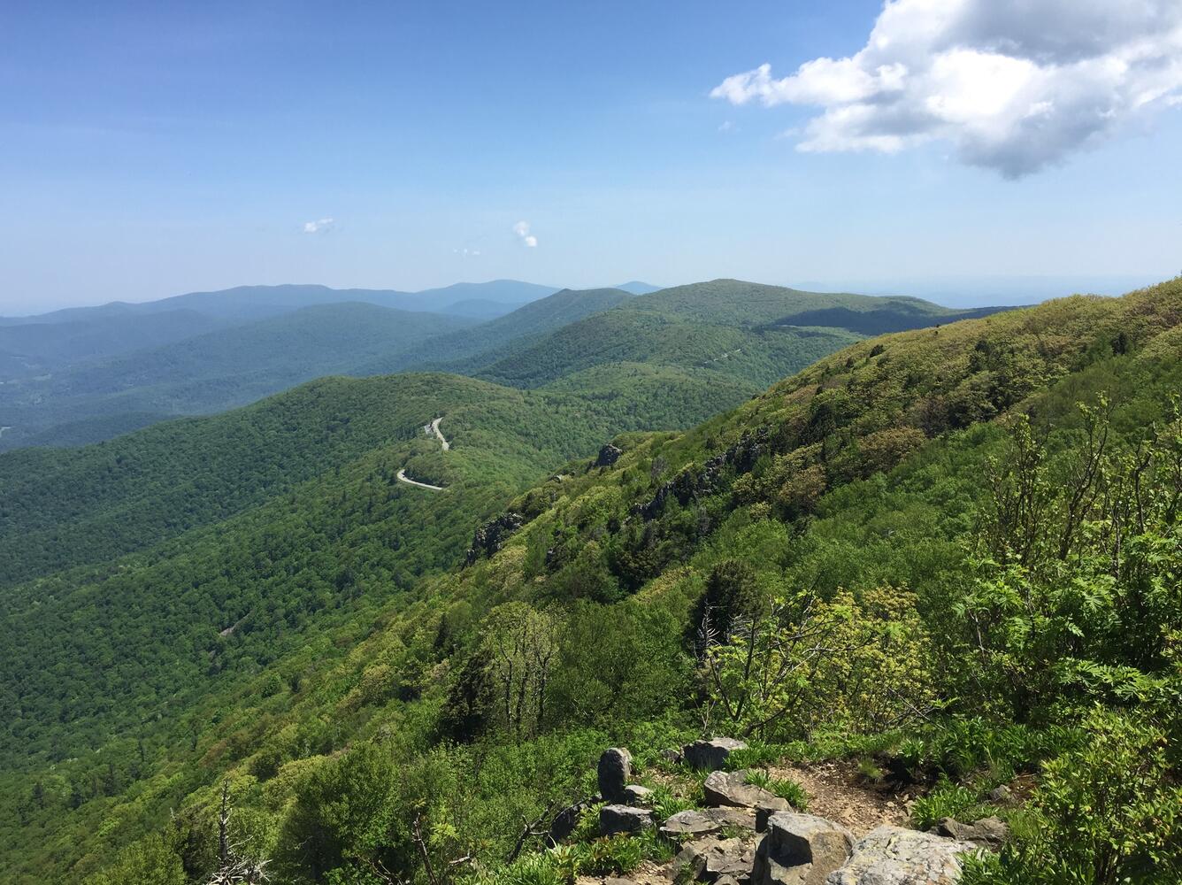 An image taken at the top of Stony Man looking down into the Shenandoah Valley, VA