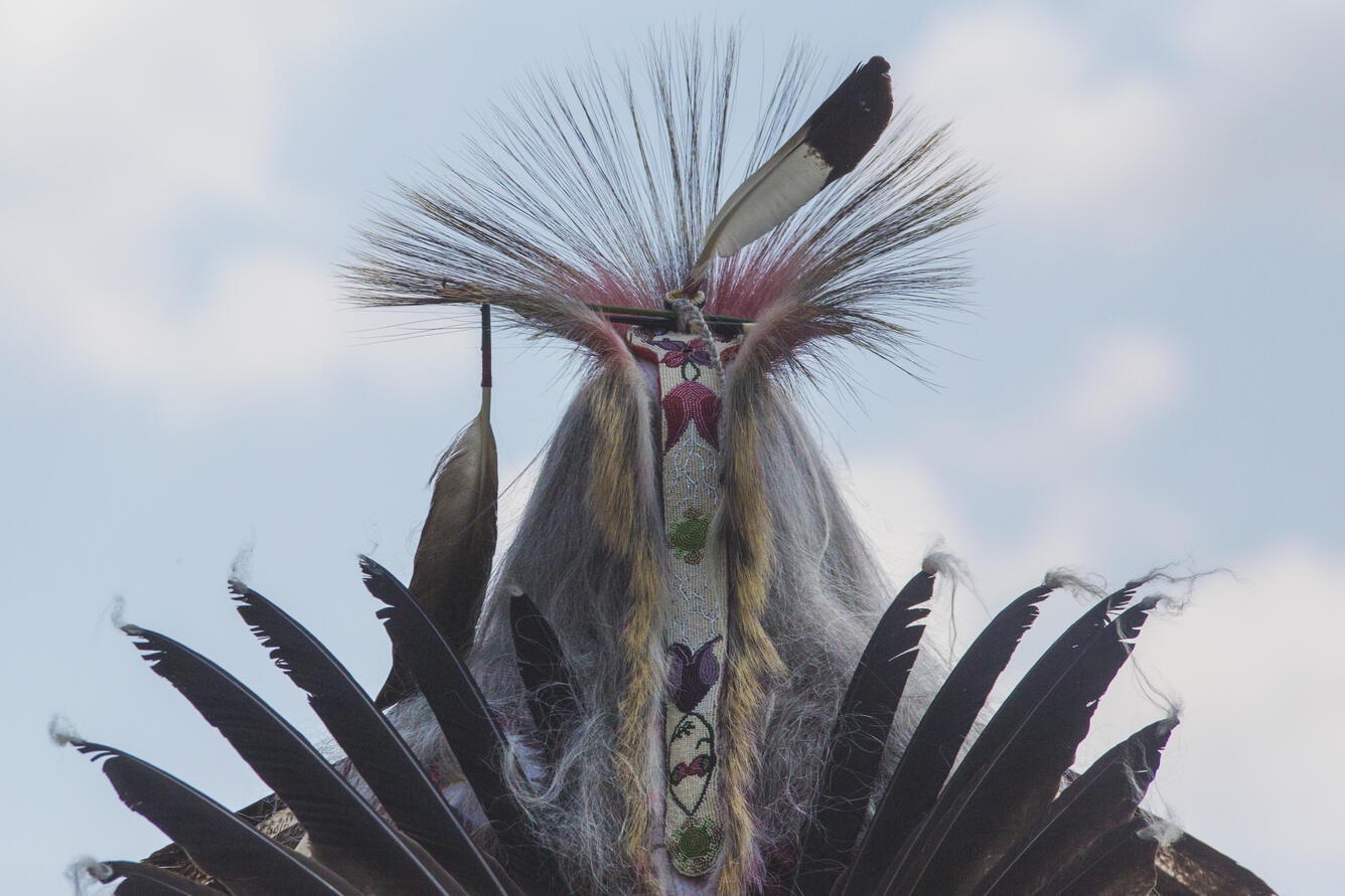 Traditional regalia bustle worn by Bob Moody of the Pokagon Band of Potawatomi Indians. 