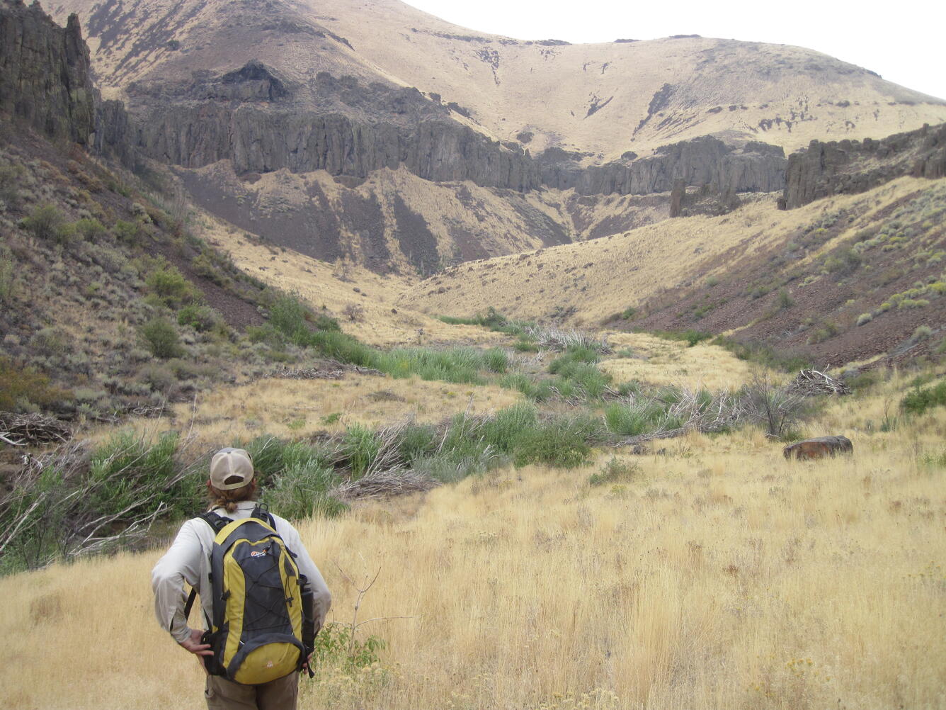 Field surveyor looking over upper Whitehorse Creek