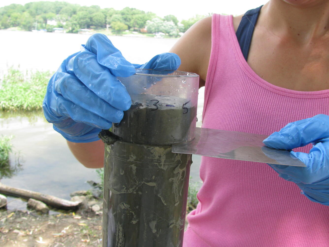 lake sediment core