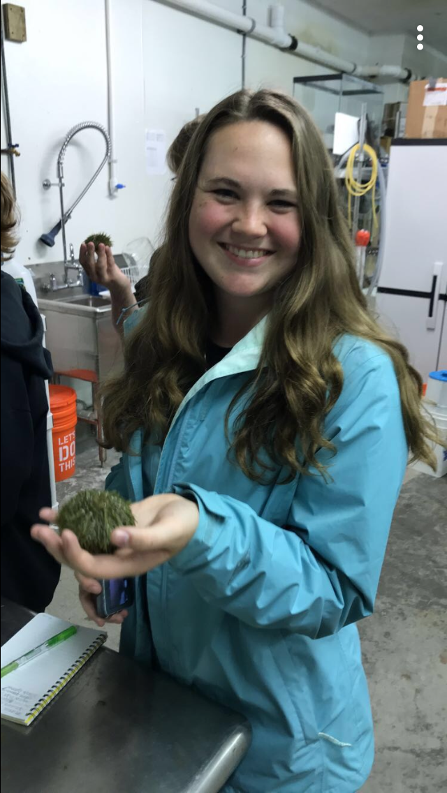 Student Intern, Laura Harrington, is holding a Green Sea Urchin