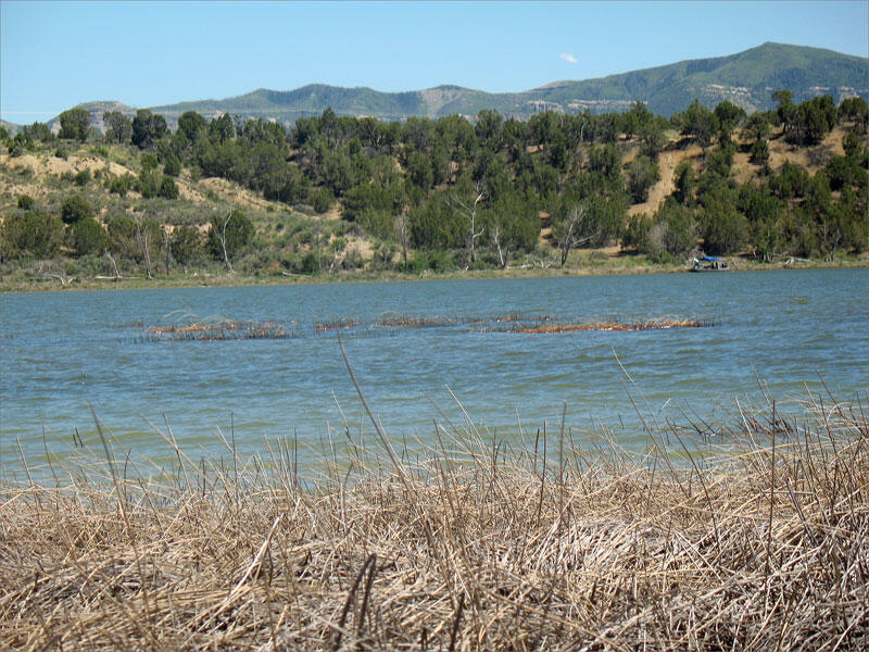 Looking west across the northeast bay of Totten Reservoir