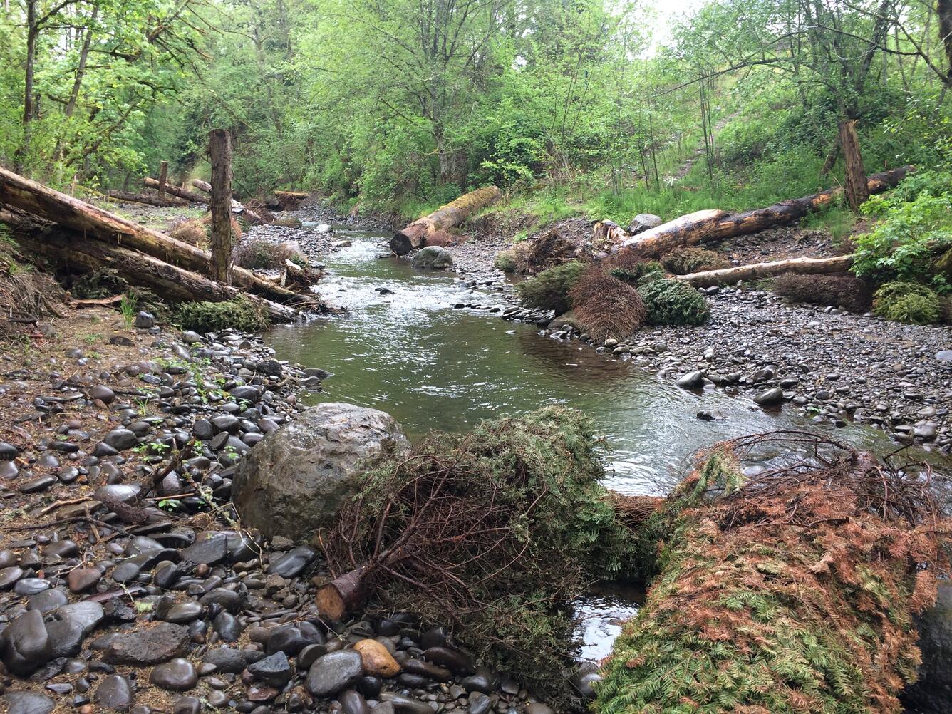 Rock Creek (Clackamas)
