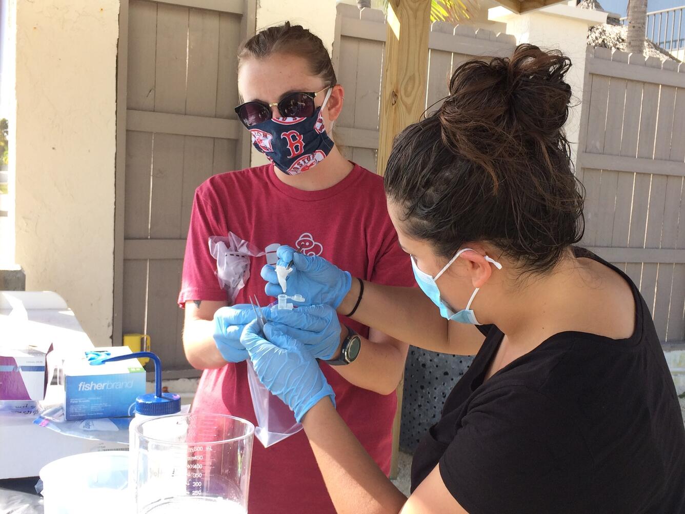 Two gloved scientists place samples into a small tube