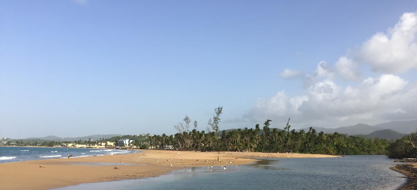 view from the mouth of the Rio Mameyes, Puerto Rico