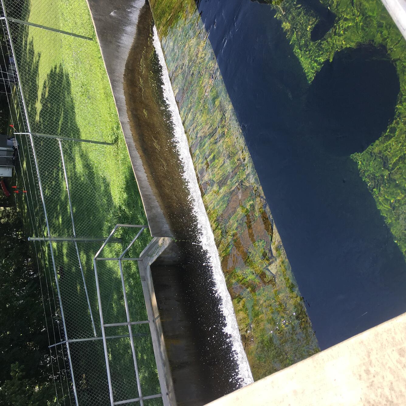 Effluent outfall in Shenandoah watershed