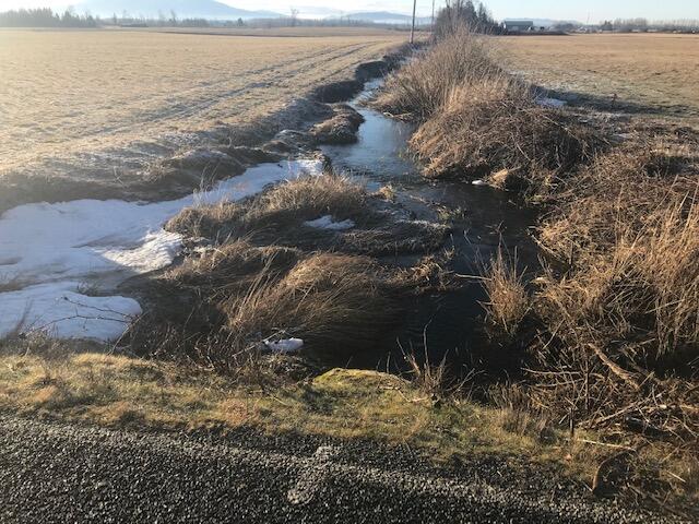 Kamm Creek at Kamm Rd near Lynden, WA
