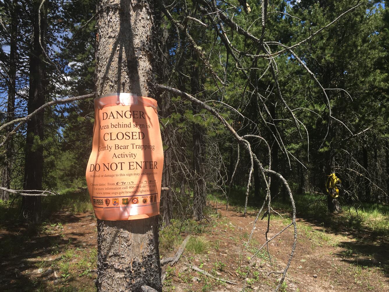 IGBST trapping warning sign posted on tree in Montana.  