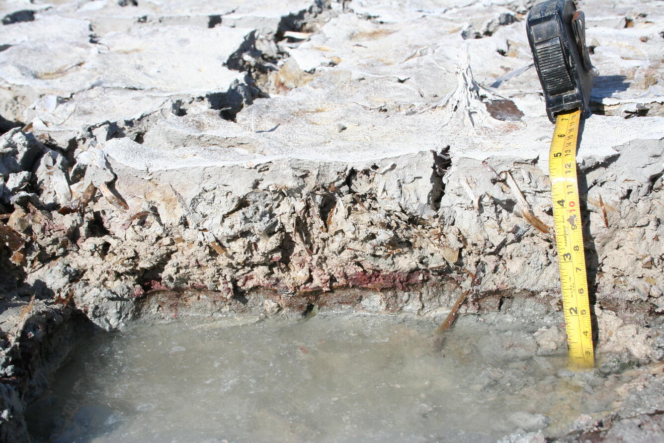 A photo shows the thickness of a particular overwash deposit after Hurricane Irma