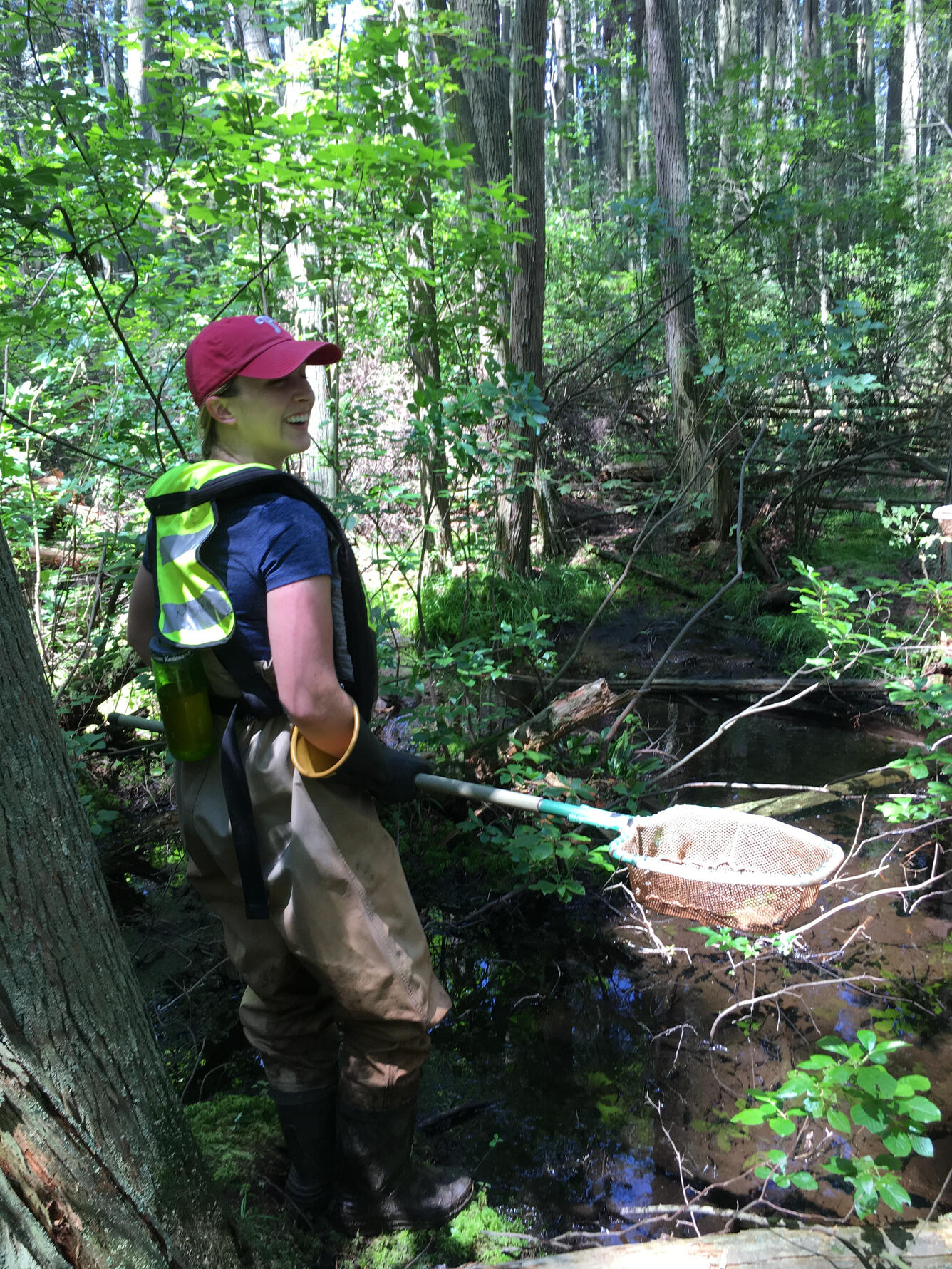 USGS Scientist collecting fish samples in a hand net