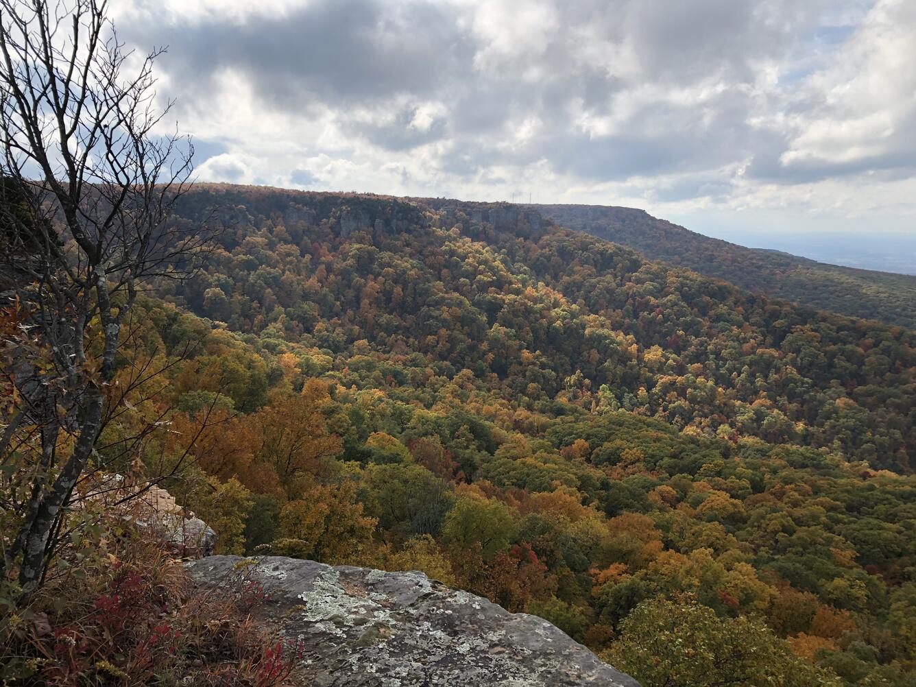Autumn landscape in northwestern Arkasas