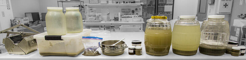 Sediment samples and equipment from the San Antonio River Sediment and Water Monitoring project