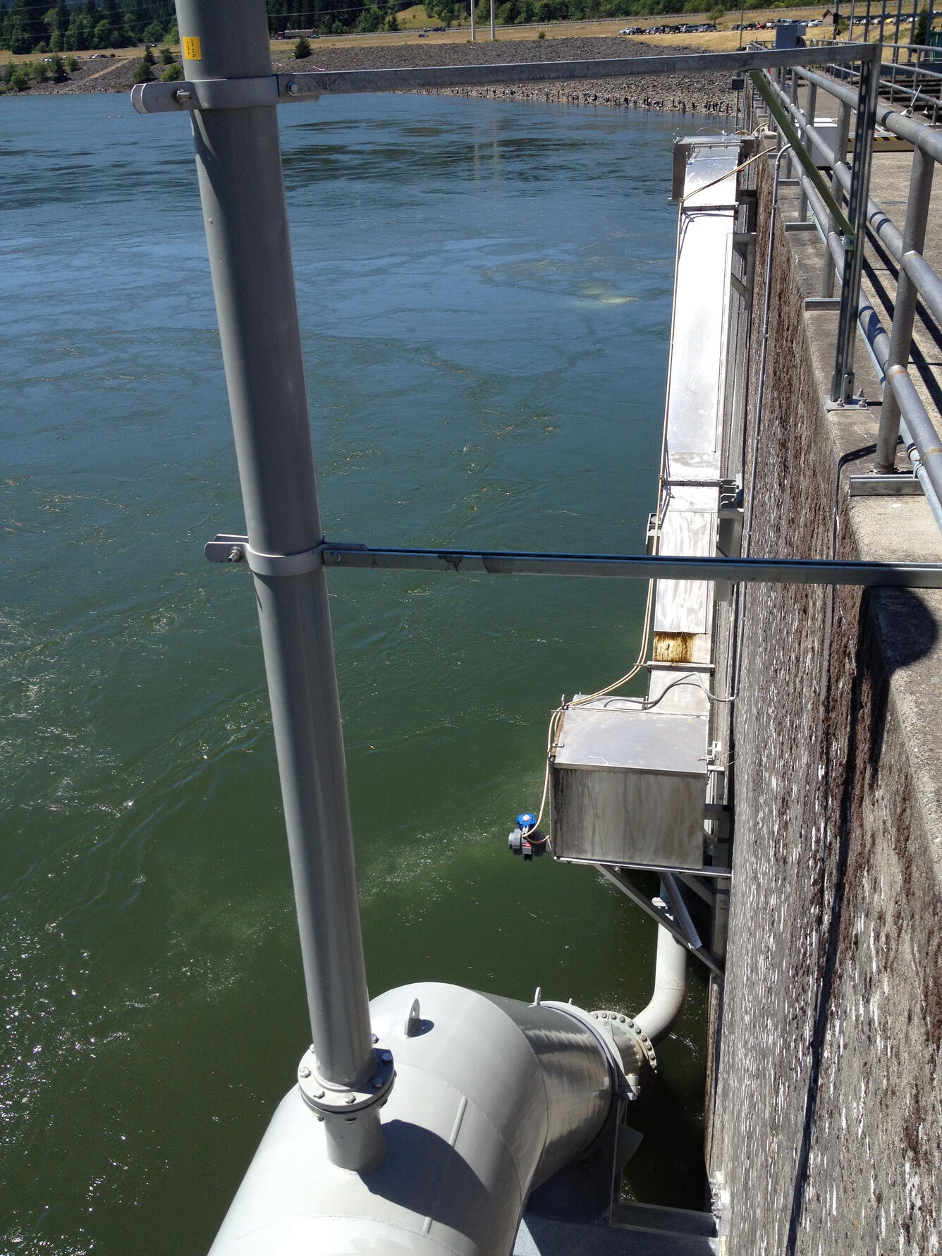 Lamprey ladder at Bonneville Dam