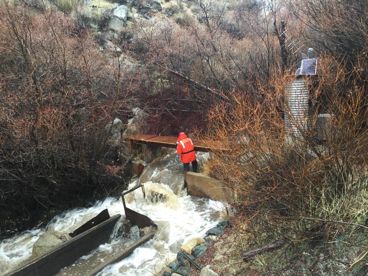 Scientist stands in Clear Creek to measure water quality on an rainy day.
