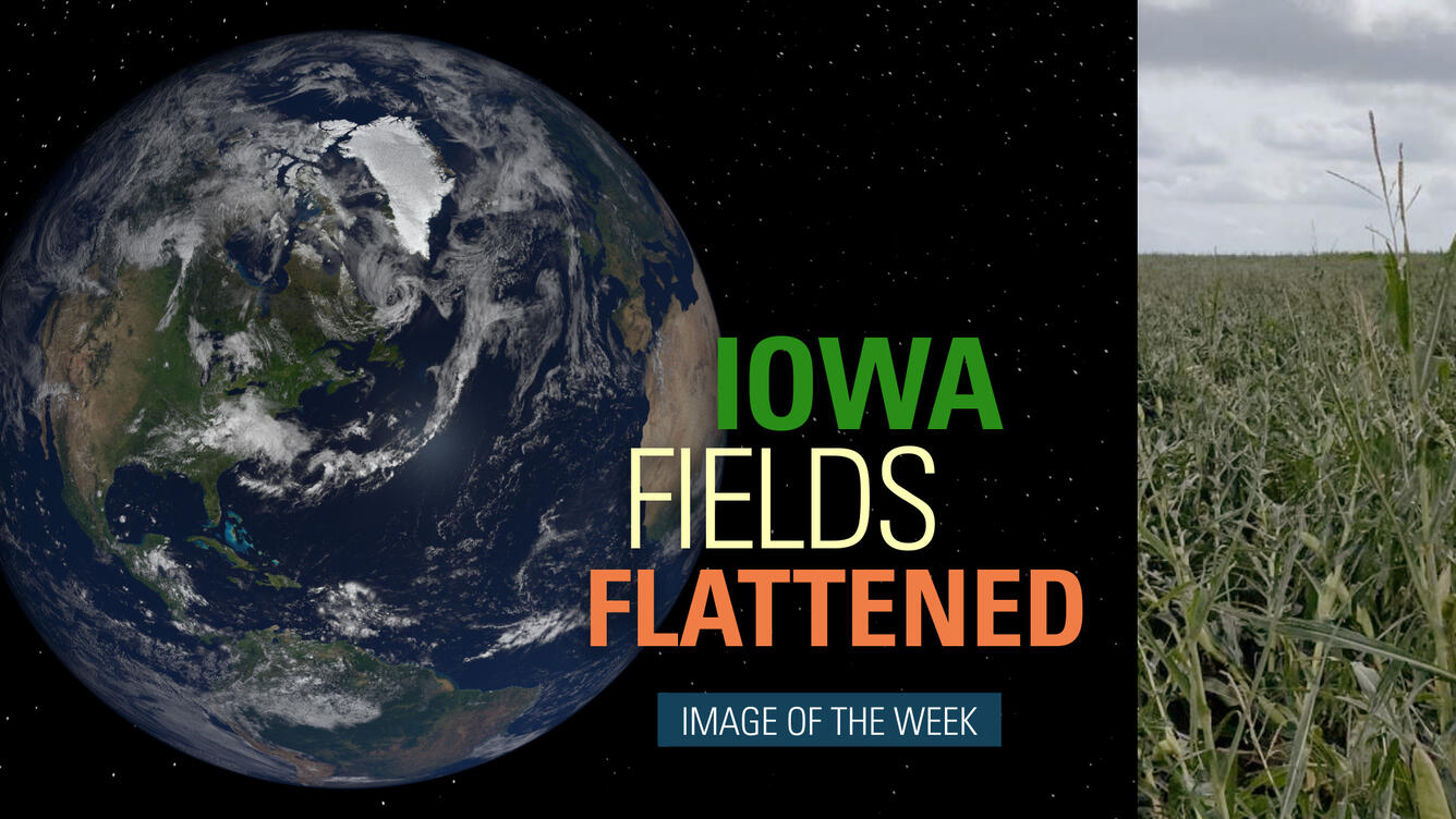 Thumbnail for Image of the Week - Iowa Fields Flattened