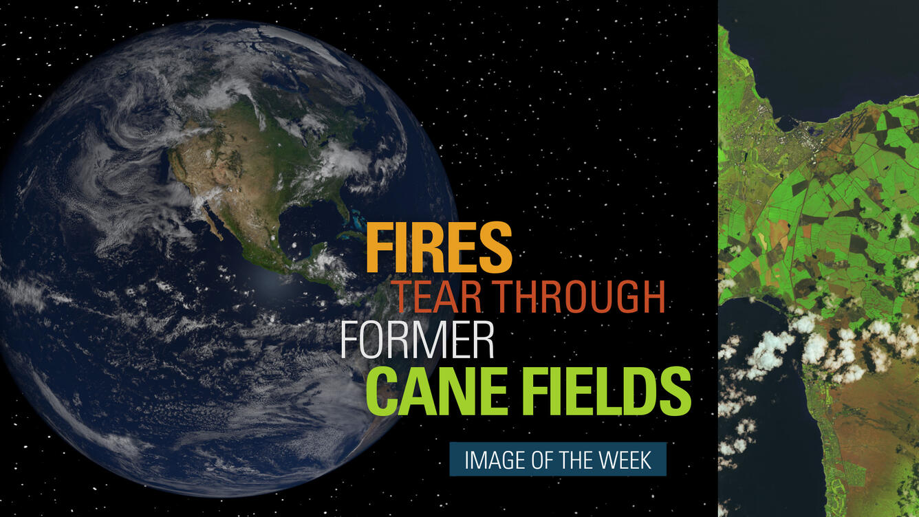 Thumbnail for Image of the Week - Fires Tear Through Former Cane Fields
