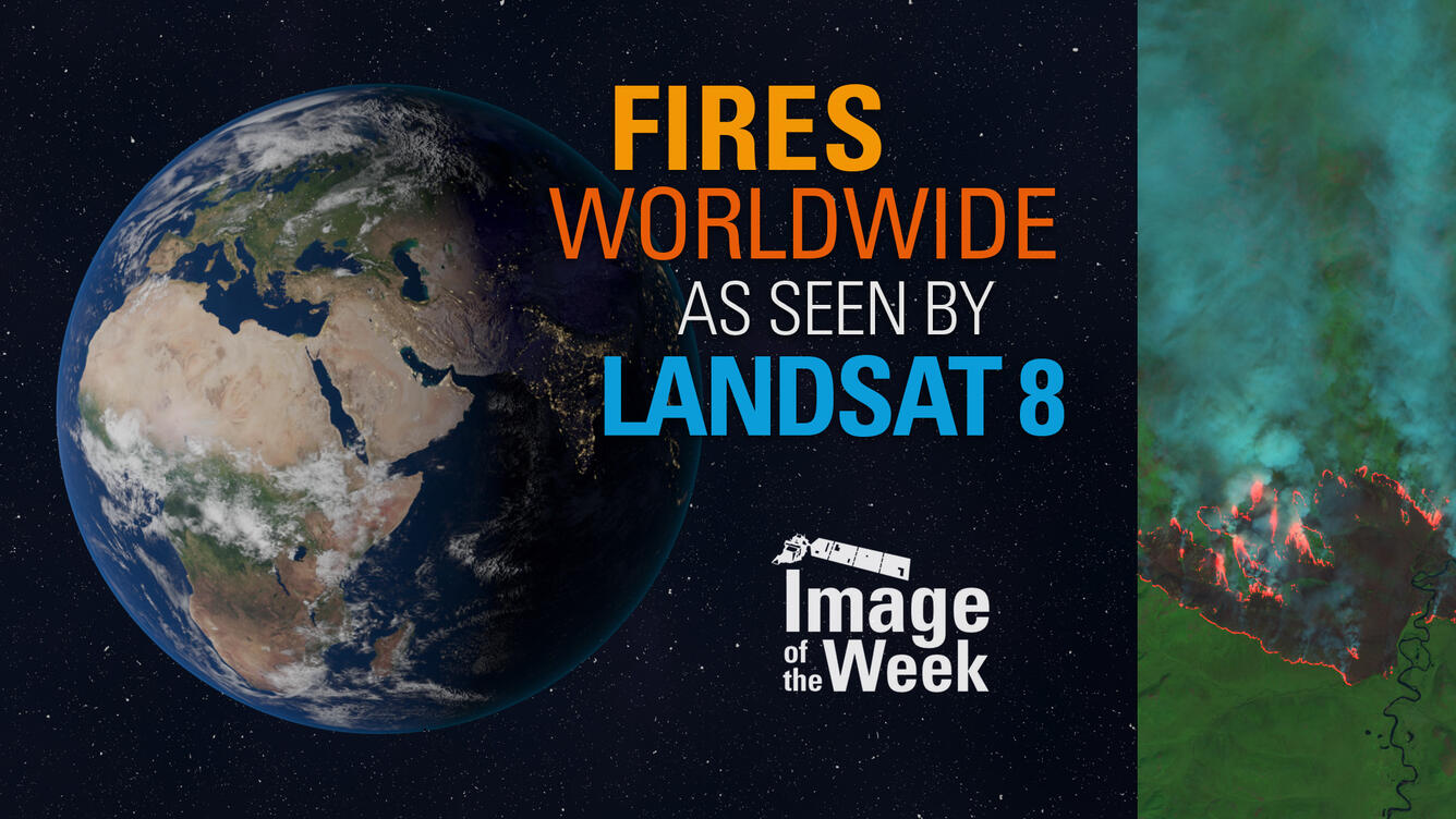 Thumbnail for Image of the Week - Fires Worldwide as seen by Landsat 8