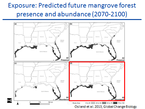 Exposure: Predicted future mangrove forest presence and abundance (2070-2100)