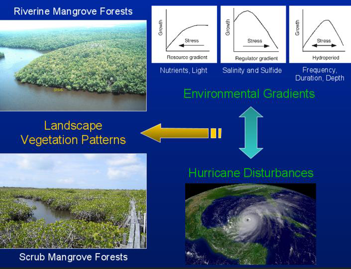 Illustration of two sites with marked differences in hydrology and nutrient concentrations