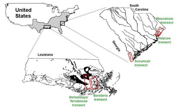 Figure 1. Major study areas of the TFFW vegetation modeling system (Krauss et al., 2009)