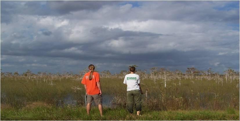 Scientist examining potential sample areas