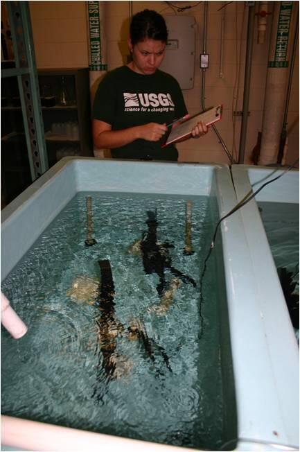 Controlled laboratory experiments