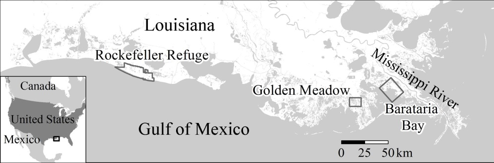 Figure 1. NASA in coordination with USGS collected polarimetric synthetic aperture radar (PolSAR) image data