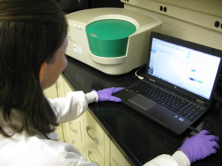 eDNA analysis in the lab